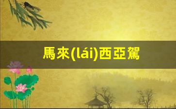 馬來(lái)西亞駕照 簽證(馬來(lái)西亞駕照是國(guó)際駕照嗎)